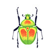 Colorful bug. Bright spotted beetle, fantasy animal species, top view. Imaginary insect, spotty wings, antenna. Fictional fauna. Flat graphic vector illustration isolated on white background