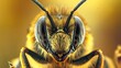 Stunning macro bee with huge eyes closeup : Generative AI