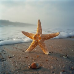 Poster - A starfish is laying on the beach, with the ocean in the background. Concept of tranquility and peace, as the starfish is a symbol of good luck and protection
