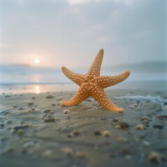 Fototapete - A starfish is laying on the beach, with the sun setting in the background. The scene is serene and peaceful, with the starfish as the focal point