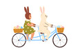 Easter bunny and kid with ears cycling on tandem bicycle, baskets with eggs. Cute rabbit and child in fairytale ride. Funny hare, girl characters. Flat vector illustration isolated on white background