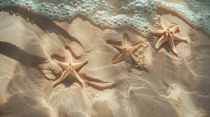 Wall Mural - Summer concept Starfish on sea sandTexture light sand Concept beach holiday Flat lay top view copy space : Generative AI