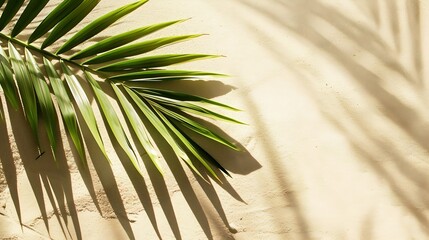 Aufkleber - Top view of green tropical leaf shadow on sand color background Flat lay Minimal summer concept with palm tree leaf Creative copyspace : Generative AI