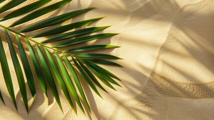 Aufkleber - Top view of green tropical leaf shadow on sand color background Flat lay Minimal summer concept with palm tree leaf Creative copyspace : Generative AI