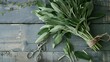 Bunch of green sage leaves on gray wooden table herbs scissors string flat lay overhead view : Generative AI
