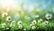 Defocused spring meadow with blur background of blue sky and green grass gradient