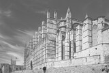 Fototapeta  - La Seu Cathedral, the most magnificent building on the entire island, which dominates the city