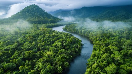 Wall Mural - Aerial view of the Daintree Rainforest, canopy layers and coastal rivers