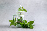 Fototapeta Panele - Nettle tea from fresh nettles