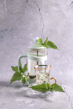 Fototapeta Panele - Nettle tea from fresh nettles