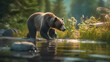 A Bear Strategic Maneuvers for the Ultimate River Fish Catch