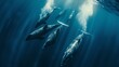 An aerial view of a pod of whales swimming in the deep blue sea, with sunlight filtering through