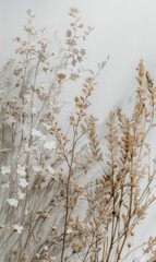 Poster - Close Up of a Plant With White Flowers