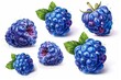 Fresh blue raspberries on white background