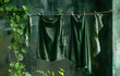 green clothes in a clothes line