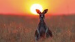 Kangaroo Standing in Tall Grass Field