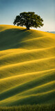 Fototapeta  - Bright sunlight over serene landscape, minimalistic scenery with single tree