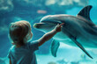 Young Child Interacting with Dolphin at Aquarium