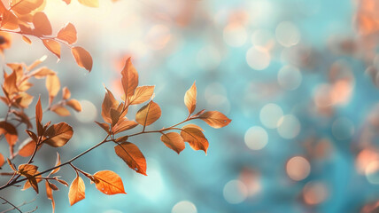 Wall Mural - Autumn background with a soft focus on a blurred light blue sky and bokeh of orange leaves