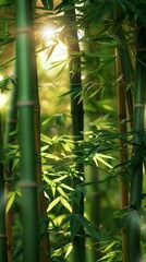 Wall Mural - vertical tranquility, green bamboo shoots and leaves reaching for sunlight in a calm, dense forest environment