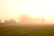 Friesischer Nebel - von strahlenden Sommermorgen bis zu milchigen Wintertagen - Frieslands sanfte Seite 4