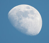 Fototapeta Las - La lune en plein jour 