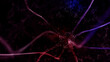 Three-dimensional neuron cell in the brain in blue red colors. Conceptual science copy space illustration background.