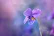 Beautiful violet flower with yellow stem macro .