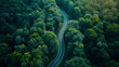 Aerial top view of beautiful curve road between green hills	
