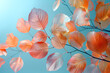 Transparent colorful leaves background