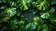 Background of various green tropical leaves