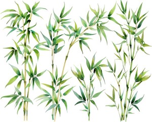  Watercolor Bamboo Leaves Collection. Hand-Drawn Elements For Textile & Paper Design. Isolated Branches & Plants in Shades of Green