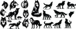 © vectordesigns - set of wolves vector