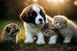 Saint bernard kittens puppy three little fun sweet young friends baby playful play lawn portrait grey cute family group breed close swiss love care rescue pet summer lying
