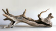 Driftwood cut out isolated white background
