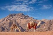 Valley of Wonder: Wadi Rum, Known as the Valley of the Moon, Carved into Sandstone and Granite Rock in Southern Jordan, in Full 4K Image