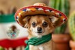 Adorable Chihuahua Dog Celebrating Cinco de Mayo with Sombrero and Mexican Flag