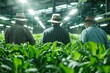 Workers inspecting plants in indoor hydroponic farm, sustainable agriculture using modern technology for efficient food production