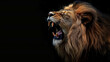A lion is roaring with its mouth wide open showing teeth and a dark background.

