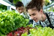 Young Woman Inspects Hydroponic Lettuce in Indoor Vertical Farm