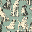 Seamless pattern with hand drawn dalmatian dogs. Vector illustration