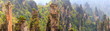 panoranic view of zhangjiajie national forest park Hunan, China.. a view from the top of the mountain. a view of the mountain covered with mist after the rain.