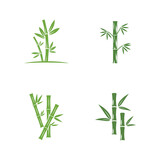 Fototapeta Sypialnia - Bamboo logo with green leaf vector icon template