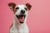 Fototapeta  - portrait of happy dog with open mouth and smiling on pink background