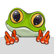Cute Cartoon Frog on a white background