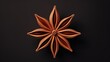 Realistic single star anise isolated on black background. Top view image.
