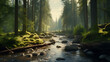 A crystal-clear stream winding its way through a dense forest of towering pine trees.