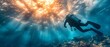 Sunlit Ascent: Diver Amidst Ocean's Serenity. Concept Ocean Photo Shoot, Diver Portraits, Underwater Beauty, Natural Lighting