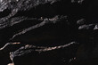 © Andrew Kornylak - closeup macro shot of dark patterns on granite rock in the Tucson desert
