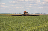Fototapeta  - Tractor spraying pesticides wheat field.